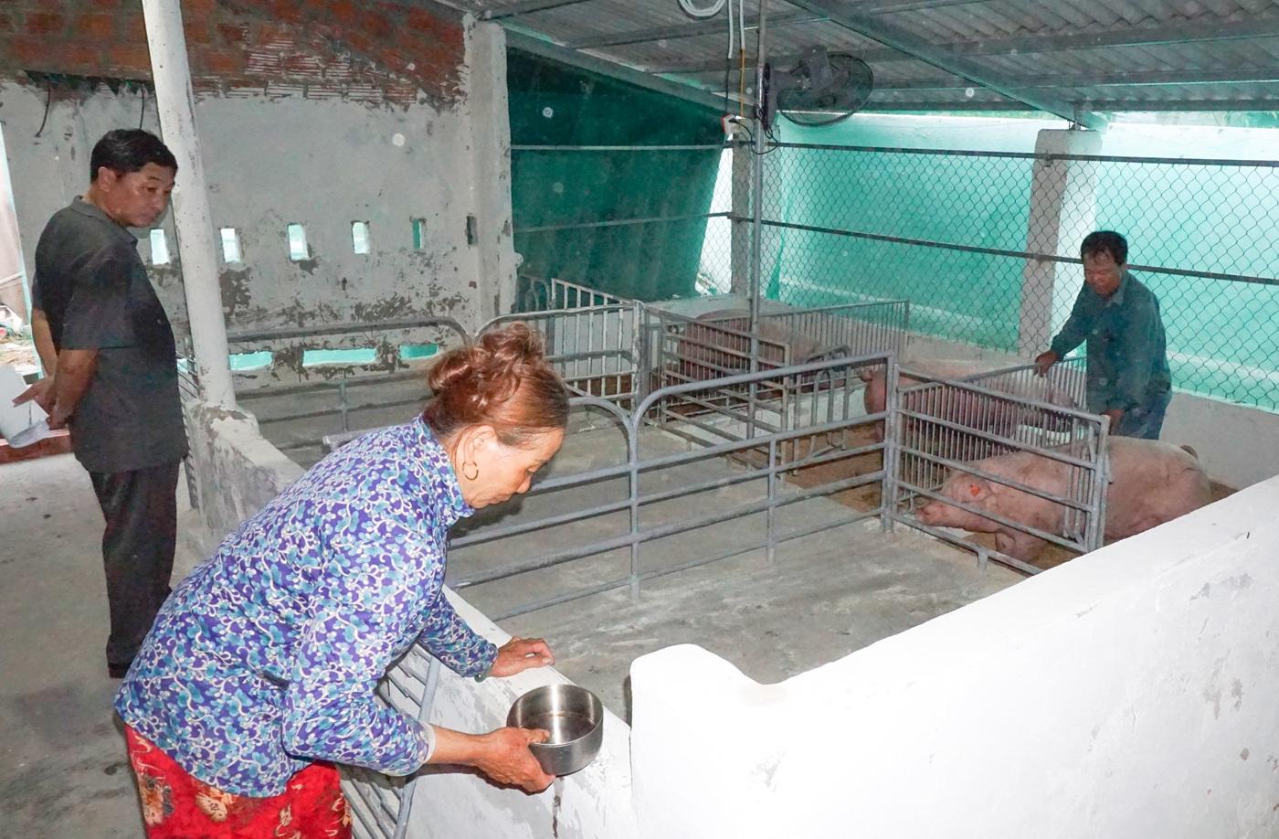 UBND xã Vĩnh Thủy yêu cầu đề xuất nhiệm vụ công nghệ chiến lược nông nghiệp, môi trường